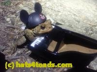 /home//u458753944/public_html/sourcegallery///////////////Roxborough Toad Detour/2026/2026-04-13/P4131619.JPG